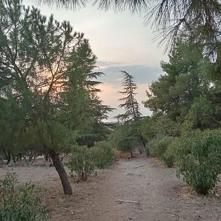 View And Peace דירה